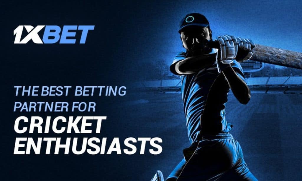 The Best Betting Partner For Cricket Enthusiast’s