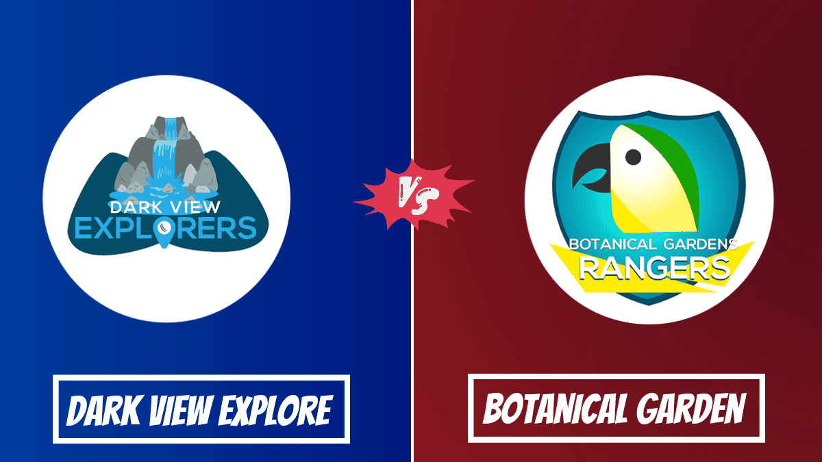 DVE vs BGR Dream11 Prediction, Players Stats, Record, Fantasy Team, Playing 11 and Pitch Report — Match 15, Vincy Premier League T10, 2023