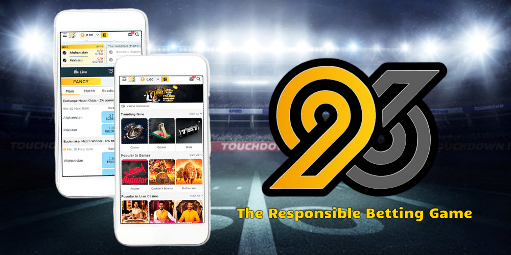 96in review in 2023│The Responsible Betting Game